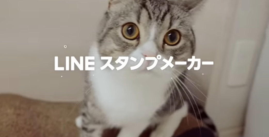春のコレクション おまとめ確認用 スタンプ 子猫 - 猫用品 - hlt.no